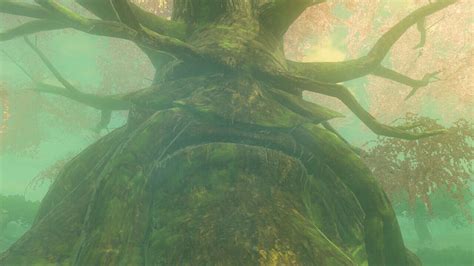 The Legend of Zelda Great Deku Tree 2